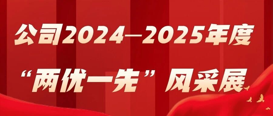两优一先④ | 公司2024-2025年度先进基层党组织