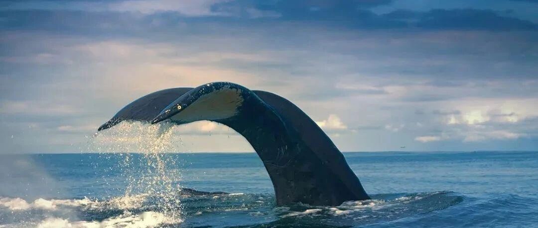 行情好了，心里痒痒？劝你一句：别瞎折腾，这样也许更好...