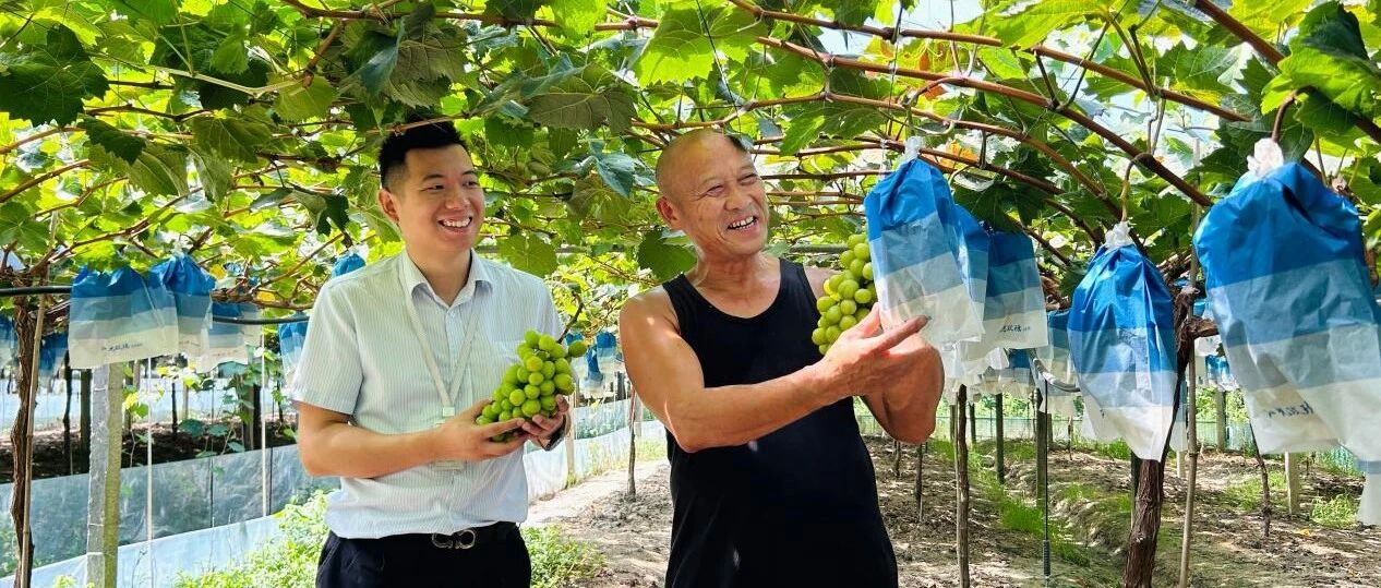 『客群剪影』金融甘霖润小微，普惠活水泽农桑