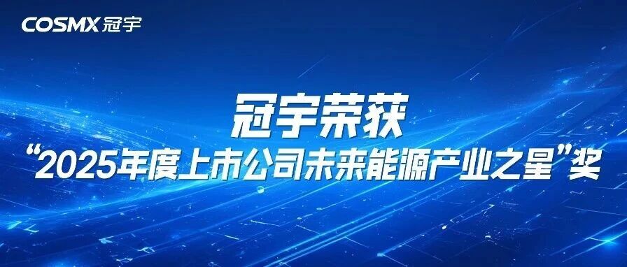 冠宇荣获“2025年度上市公司未来能源产业之星”奖