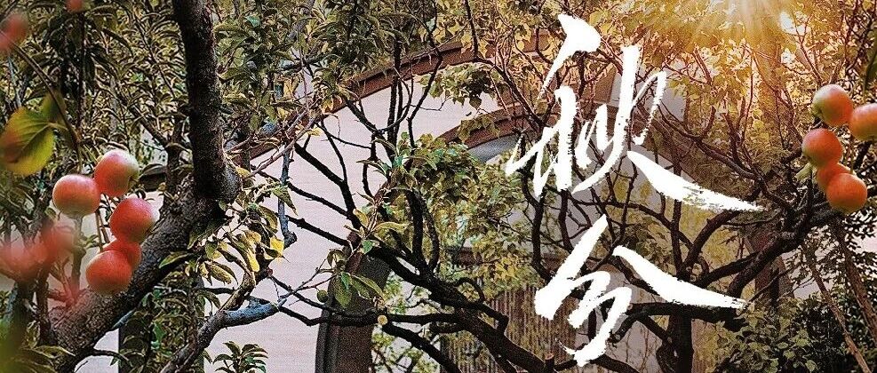 秋分｜昼夜均分秋光，暖意常伴家园