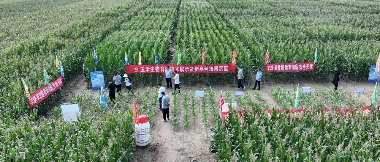 增产增收看得见！《生物育种科普官》活动走进德州齐河，展现生物育种技术“硬实力”！
