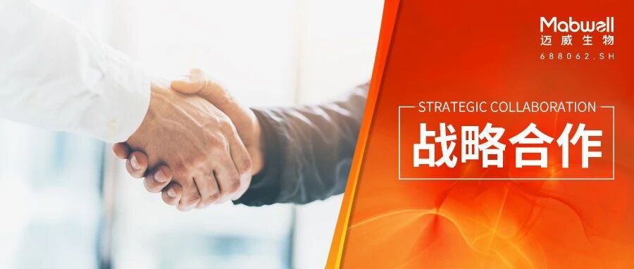 迈威生物与 Aditum Bio 合作成立 Kalexo Bio，共同推进心血管领域 siRNA 创新药的开发