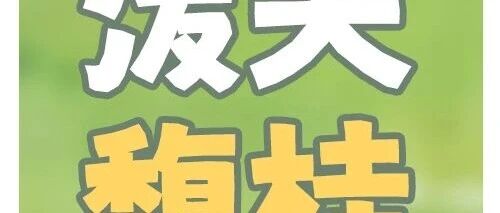 秋日限定 | 这场泼天馥桂就送给即将放假的你！