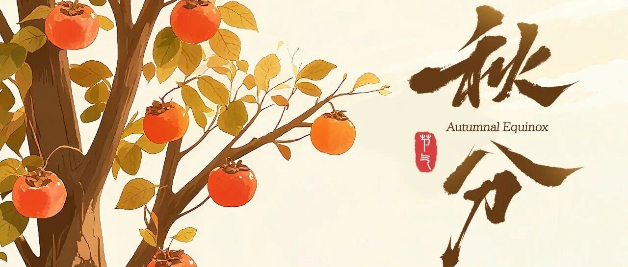 今日秋分 | 一叶知秋意，夏尽待丰收