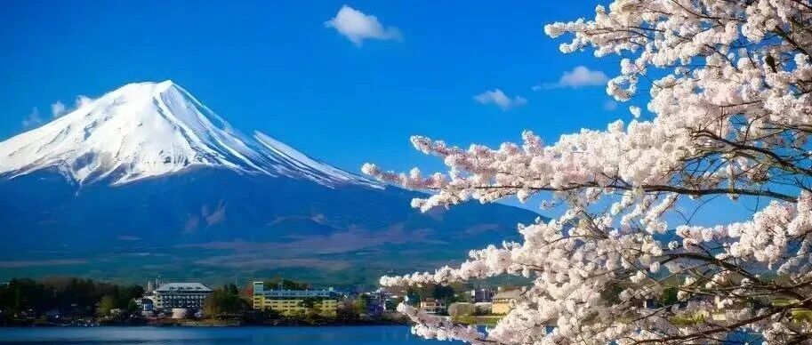 Nexus Japan—和合领航计划 | 学在课堂，悟在街头，感受匠心与传统的温度！