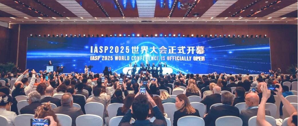 北信源AI语音翻译大模型为IASP2025世界大会提供现场多语种翻译