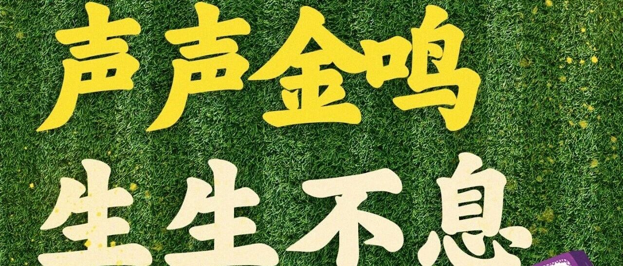 下一次，更响亮！