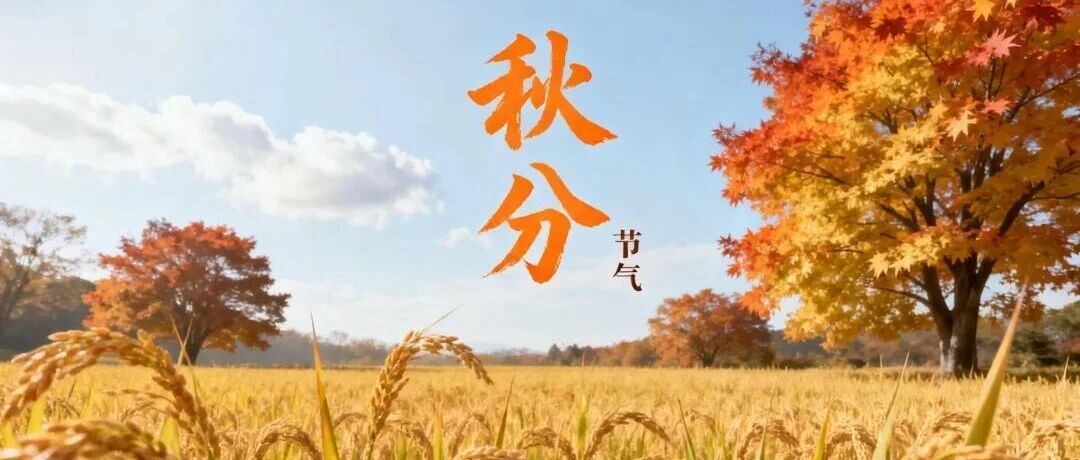 秋分｜昼夜平、寒暑匀