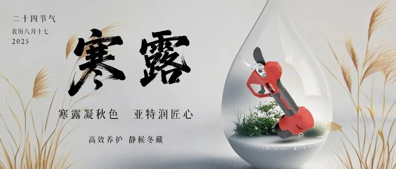 朝晖映深秋，寒露缀黄叶