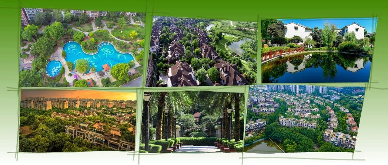 管了25年,它们就是最好的证明