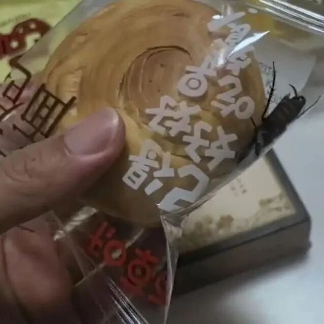 密封袋面包内有活蟑螂?消费者回应质疑,品牌发声