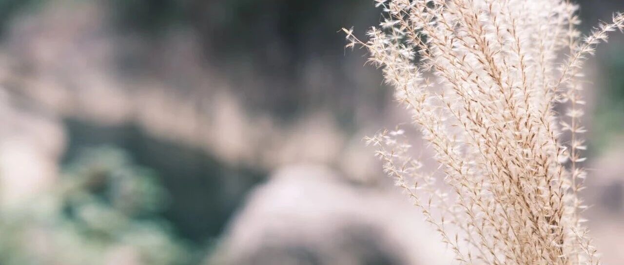 低头捡秋,抬头见己 | 2025快奇秋游记