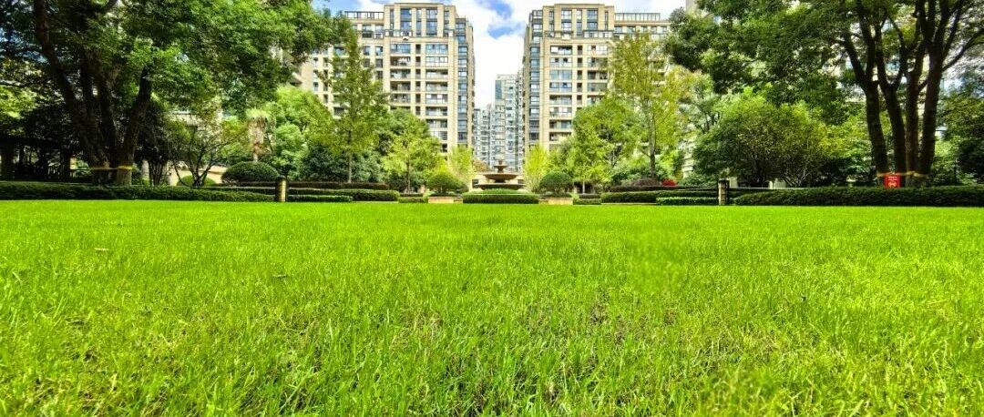 定格金秋，业主们镜头下的家园太治愈​