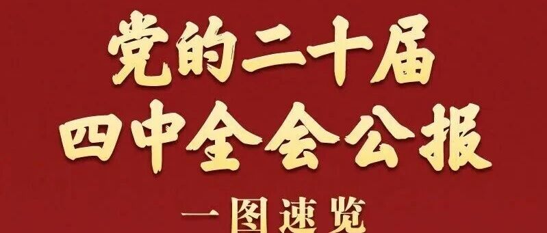 一图了解I党的二十届四中全会