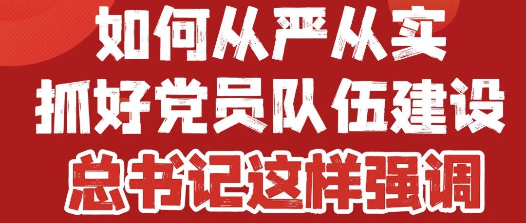 如何从严从实抓好党员队伍建设，总书记这样强调