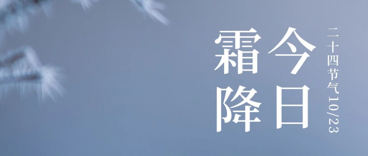 霜降|一叶知霜降,一雨感深秋