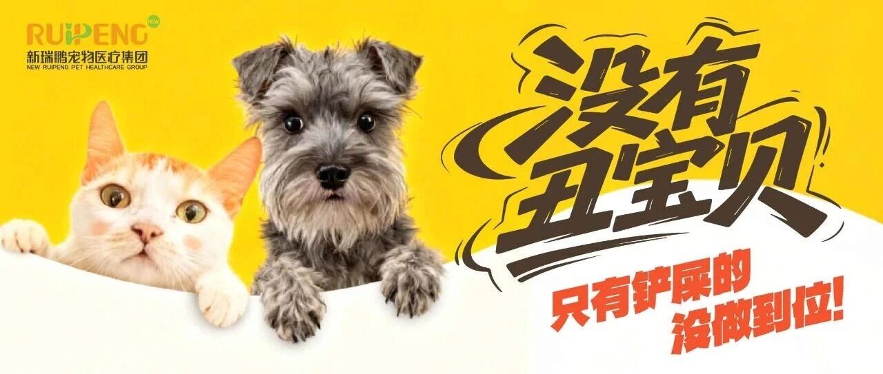 毛孩子看起来总脏兮兮?那是你忽视了这个地方!