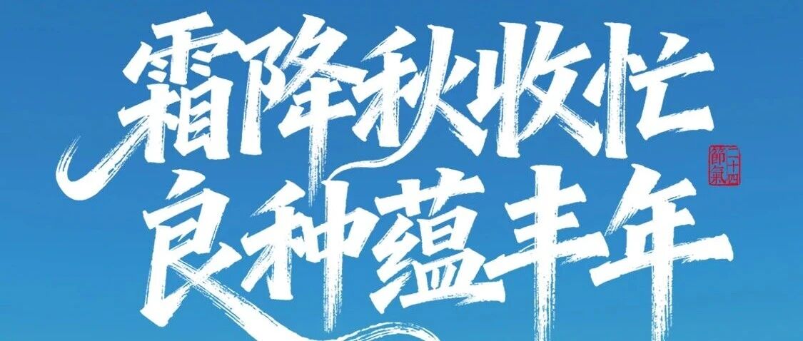 霜降｜霜降秋收忙，良种蕴丰年