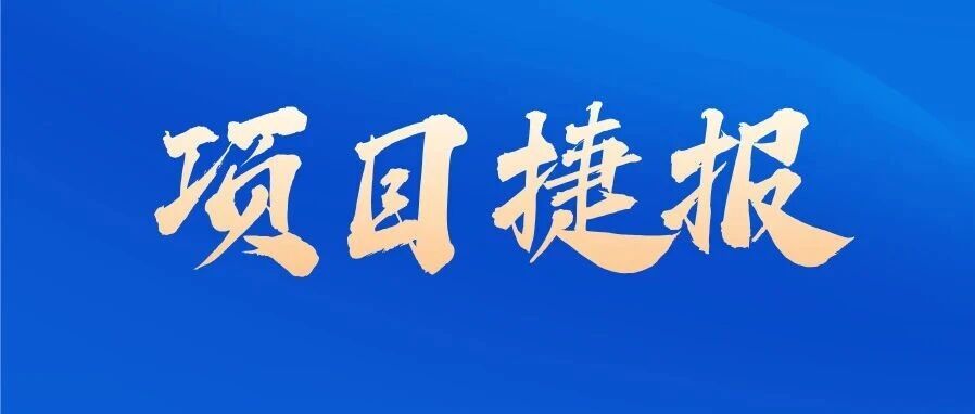 市场份额第一加持！数语科技再签多个大型数据治理项目