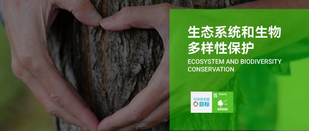 履行对森林保护的坚定承诺，玲珑轮胎获FSC认证