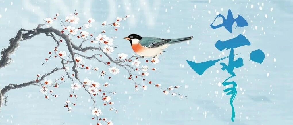 今日小雪 | 初心如雪，服务如阳