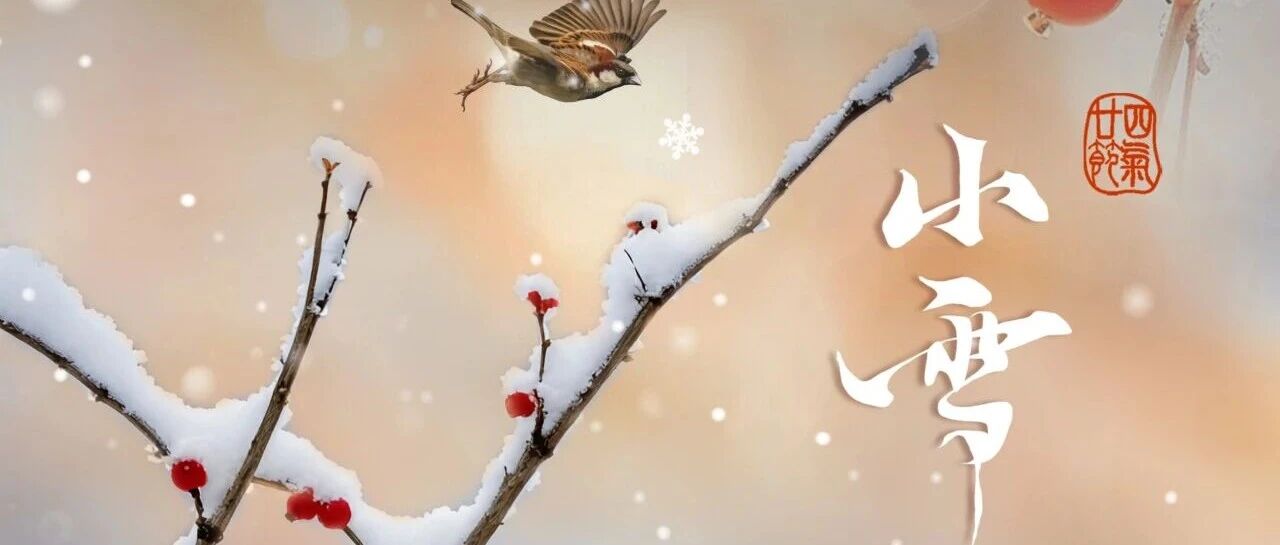 小雪丨轻絮飞琼英，红炉递暖意