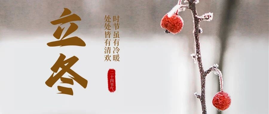 立冬 | 万物归藏,静候暖阳