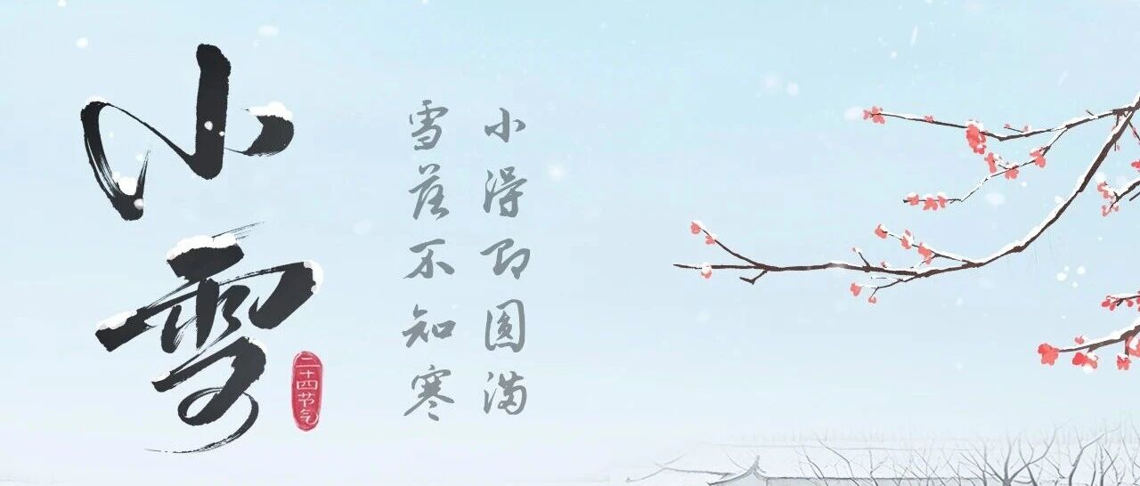 今日小雪 | 小得即圆满，雪落不知寒