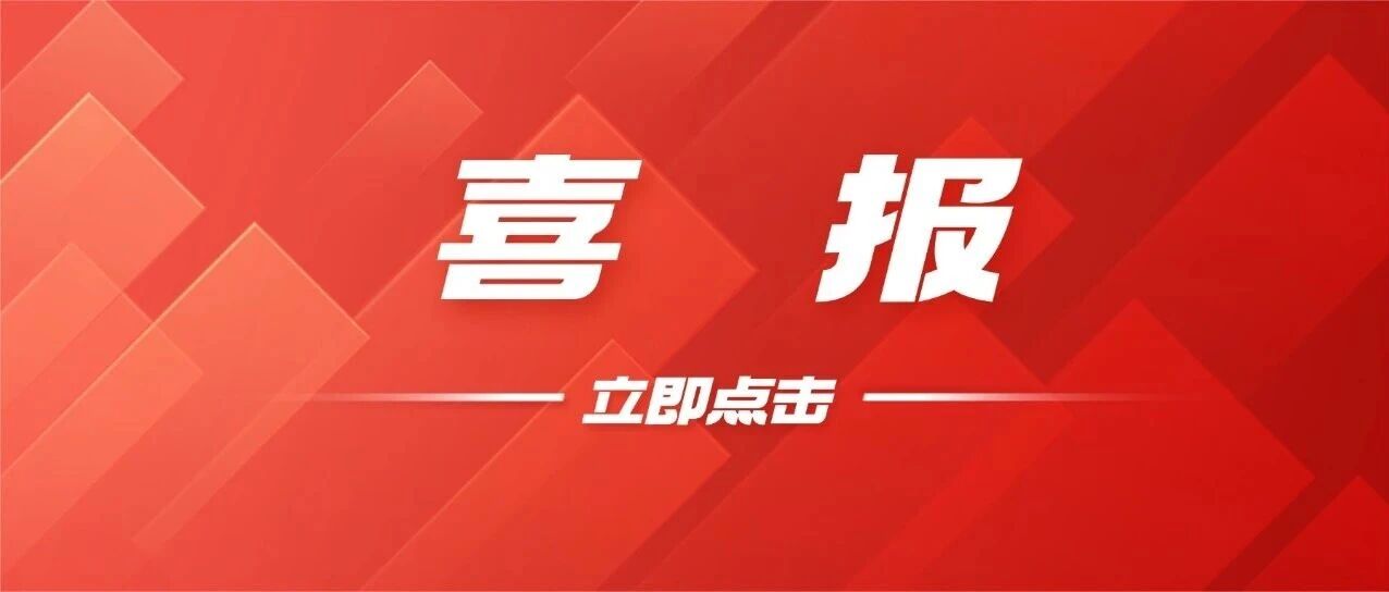 鼎龙股份斩获三大权威奖项 以科技创新和ESG治理铸就企业价值标杆