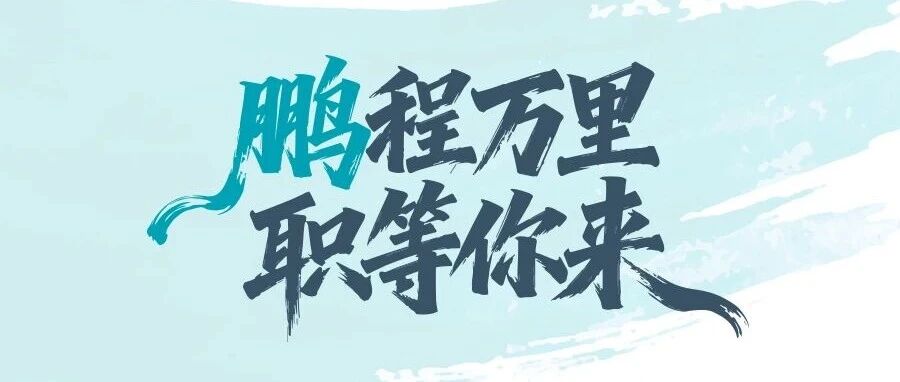 鹏程万里，职等你来