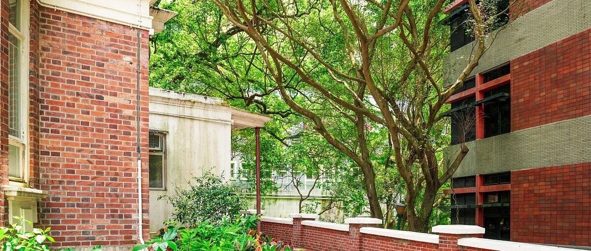 港大再次发布严正声明：“保录”绝无可能，造假零容忍！