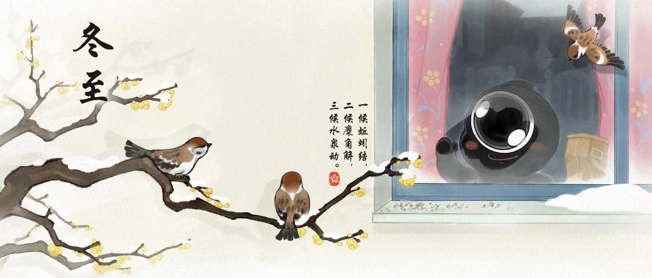 今日冬至丨无论饺子还是汤圆，吃的都是团圆