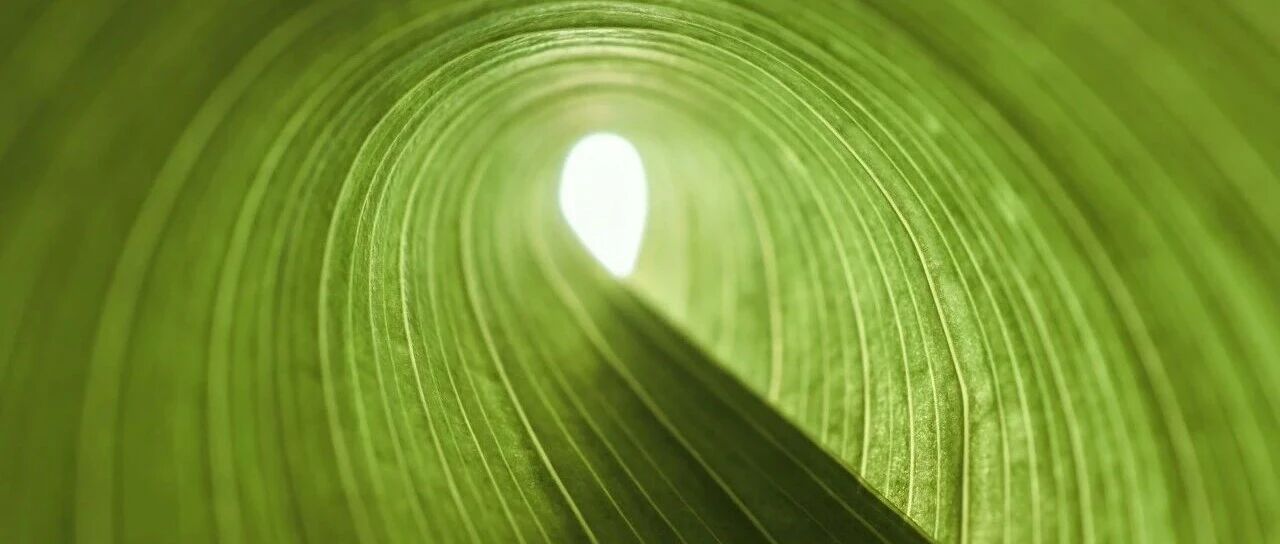 迎新“绿”，拓新程：贝卡尔特发布inhera®可持续标签