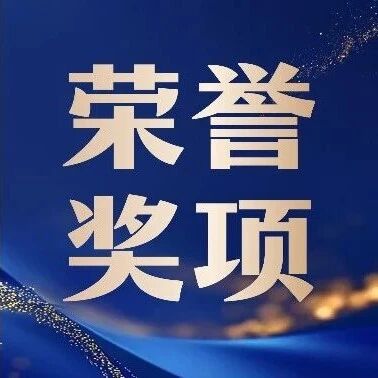 RUI实力丨瑞众又又又又获奖了,多项大奖的背后实力!