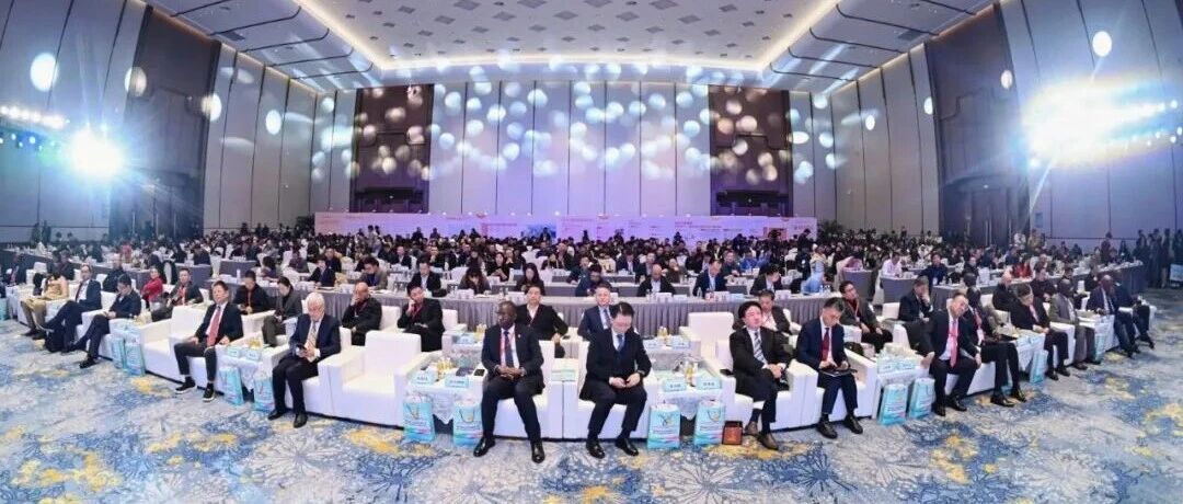 百佳荟亮相第四届中非经贸西湖大会，共绘中非合作新蓝图