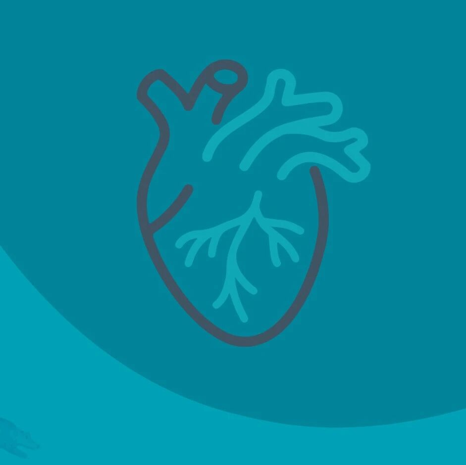 鹏有新医 | 心血管专家王乐丰教授加入天津鹏瑞利医院,心胸血管学科义诊同步开启