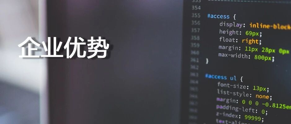 企业优势
