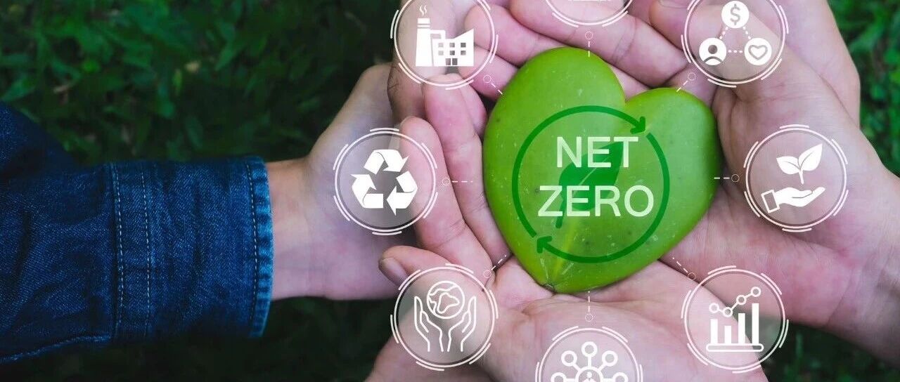 金「材」视界丨 一键解锁包装行业的“绿色密码”