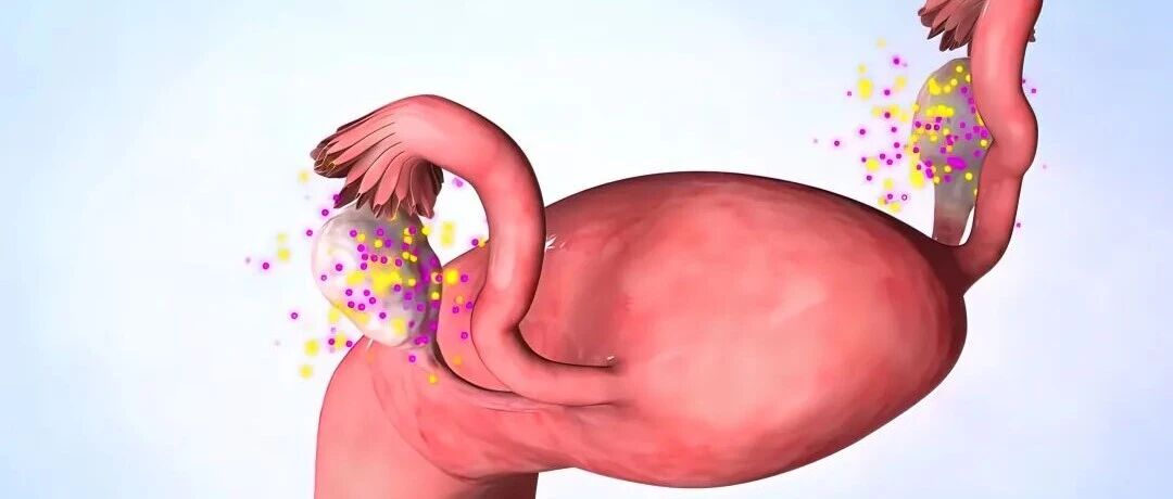 女生排卵时常见的5个“生理反应”，很多男生都误会了…