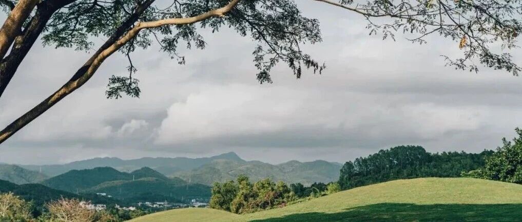 阿那亚·三亚餐厅特辑（上）｜邻居都爱的口碑老店，如何“吃出”山谷里的人情味？