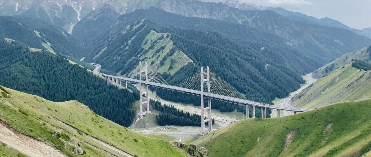 人民日报丨三棵树以创新助推工业涂料国产化