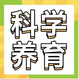 孩子的钙，真的“补”进去了吗？揭秘影响钙吸收的关键因素！