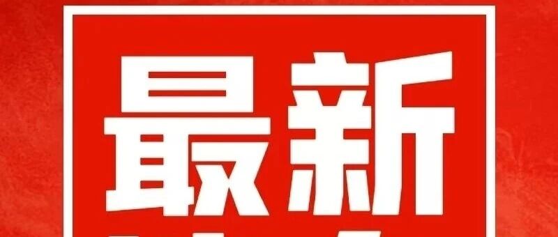 喜报|斩获雷蛇双奖，共筑电竞新篇