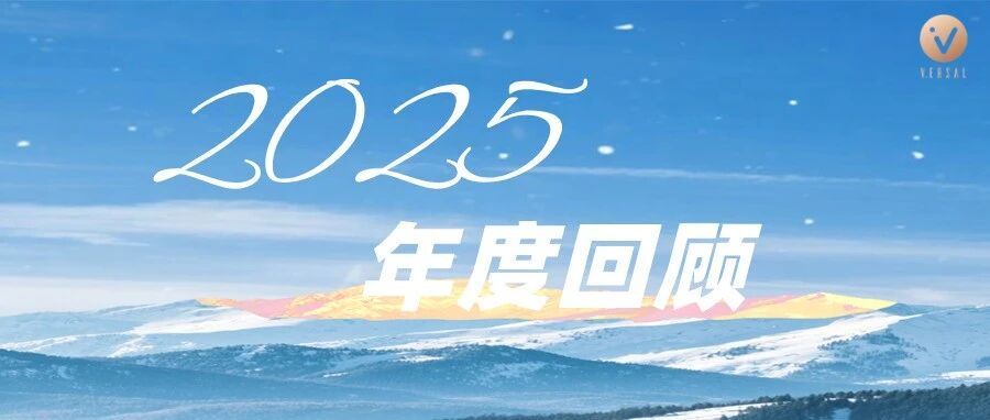 VERSAL 2025年度回顾丨驭变前行，聚势突破