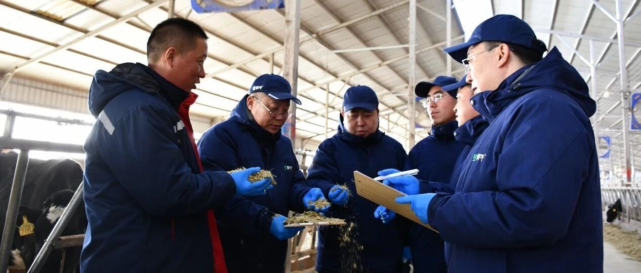 降本增效不再难！蒙牛把“技术管家”送到了牧场
