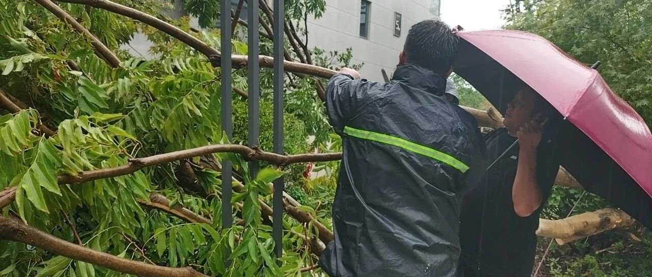 150000份「安心」，源自同一个答案