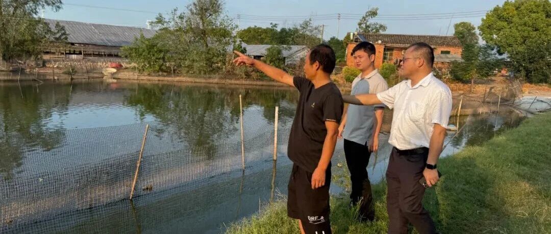 『绿意追踪』民泰银行金华分行的绿色暖心篇章