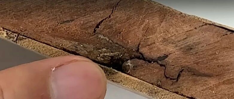 家里的旧菜板该扔了吗？实测10款，结果出人意料！