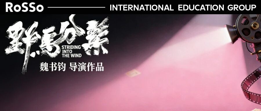 马年不聊奔跑，聊聊电影《野马分鬃》那匹“迷路”的野马~